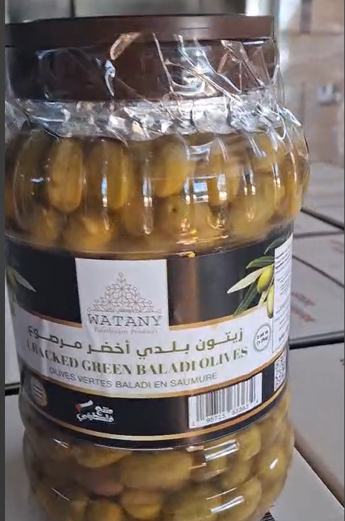 Palestinian Pickled Green Olives from Jenin