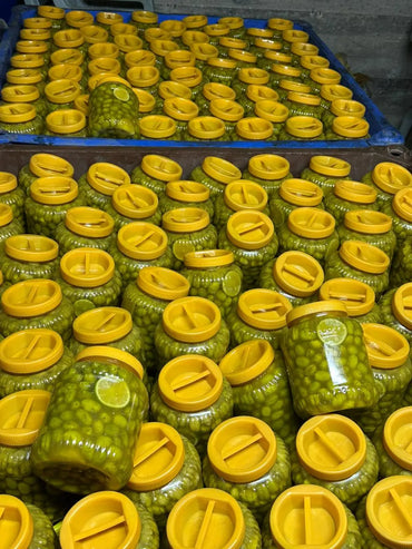 Palestinian Pickled Green Olives from Tulkarm