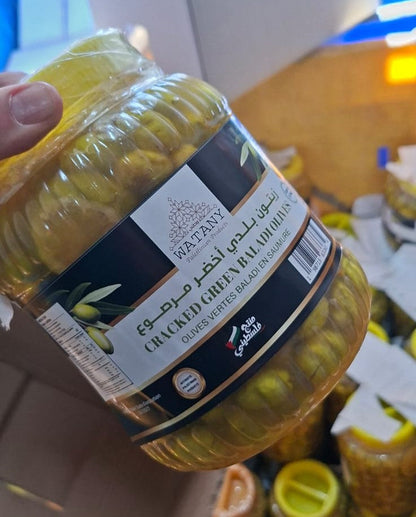 Palestinian Pickled Green Olives from Tulkarm